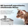 Molly&Cody SPRING Water Drinking Fountain for Cats and Dogs 2 lt (MC100001)