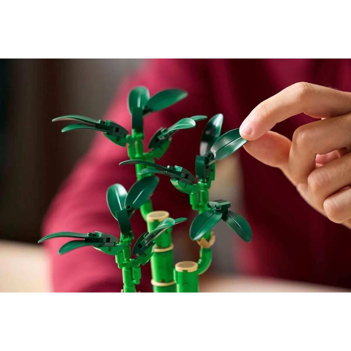 Lego Botanical Collection Lucky Bamboo (10344)